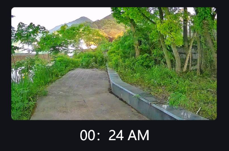 Black light Security Camera